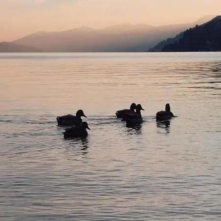 Spacious Retreat In Cannero *