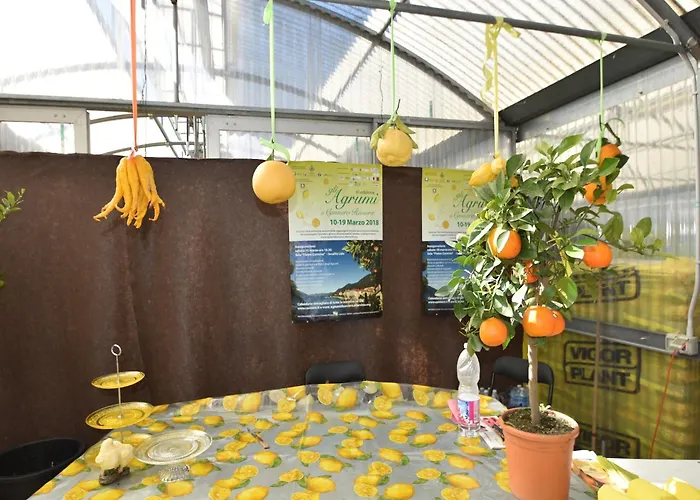 Village Apartment in Cannero Riviera hinterland with views