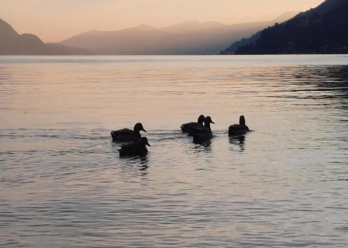 Vakantiehuis Village Apartment in Cannero Riviera hinterland with views *